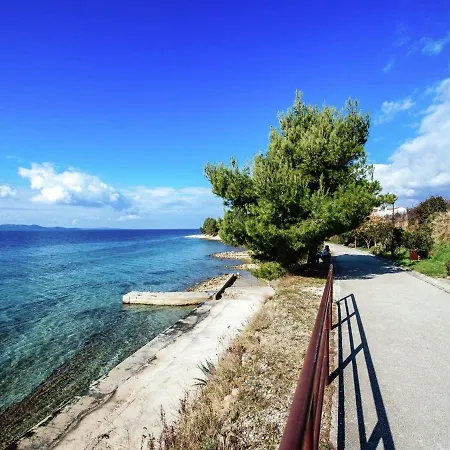 Appartement Luxurious In With Garden Zadar